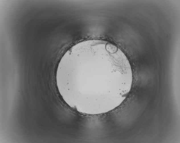 X0000112720769200908200946