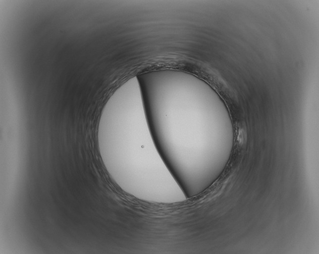 X0000112720771200908200946