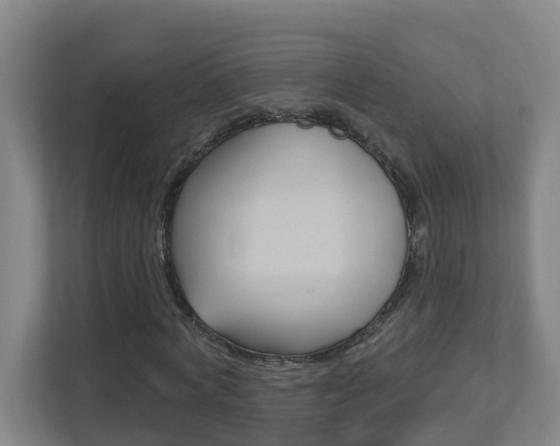 X0000112720772200908200946