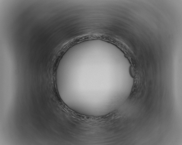X0000112720773200908200946