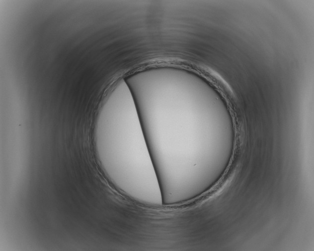 X0000112720777200908200946