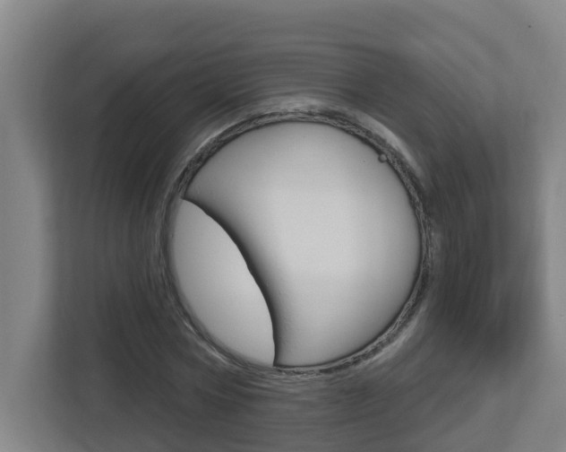 X0000112720778200908200946