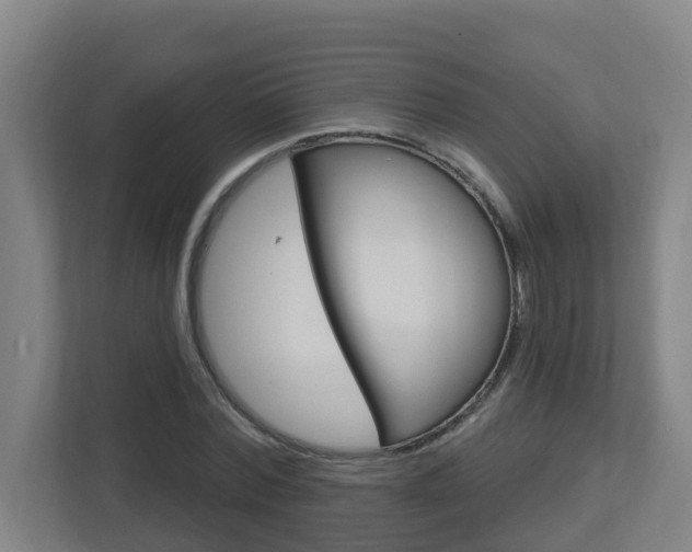 X0000112720780200908200946