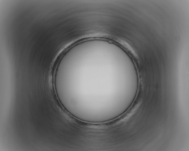 X0000112720781200908200946