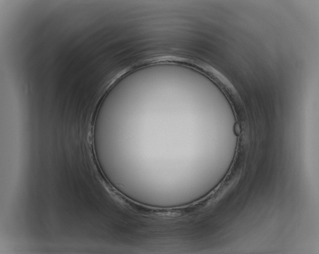 X0000112720793200908200945
