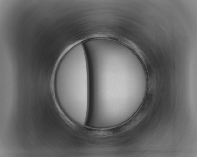 X0000112720795200908200945