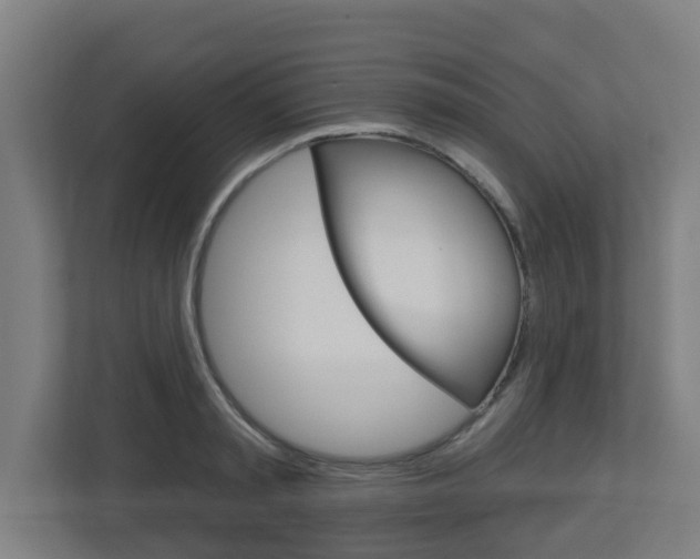 X0000112720797200908200945