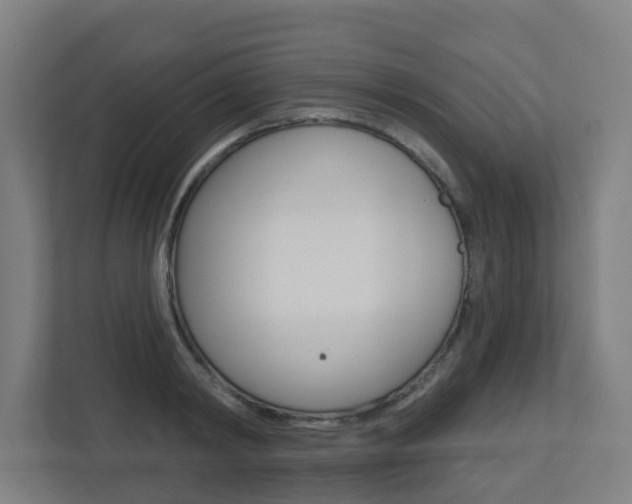 X0000112720798200908200945