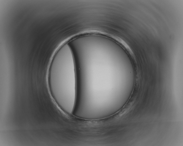 X0000112720799200908200945