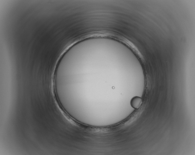 X0000112720802200908200945