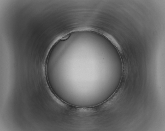 X0000112720805200908200945