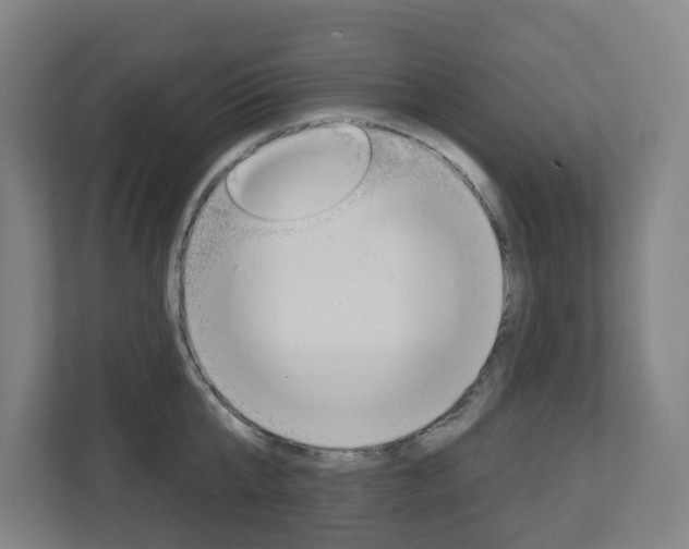 X0000112720807200908200945