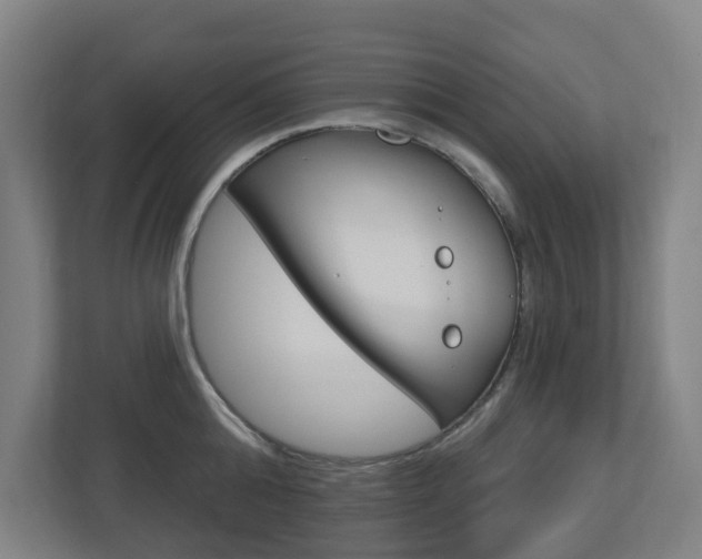 X0000112720808200908200945