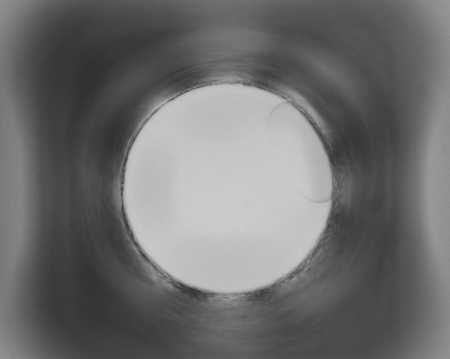 X0000112720810200908200945