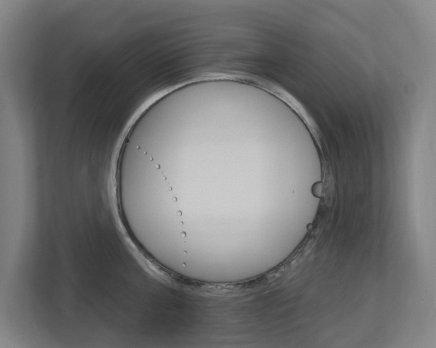 X0000112720811200908200945