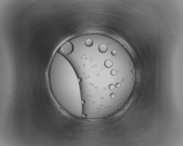 X0000112720814200908200945