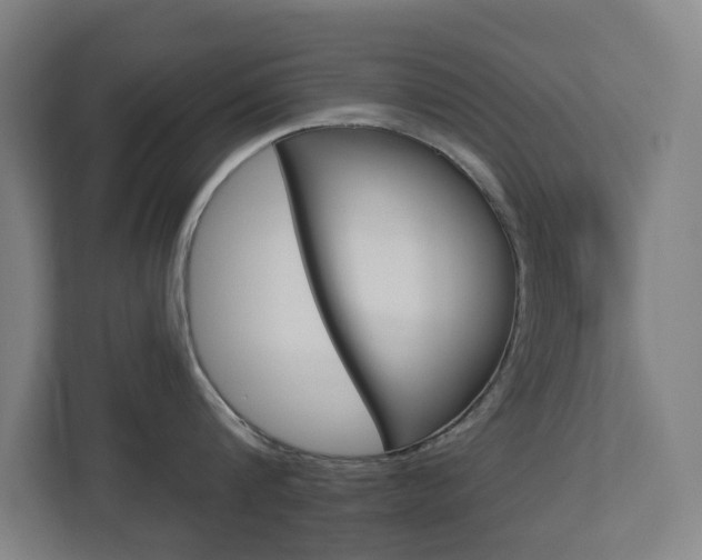 X0000112720816200908200945