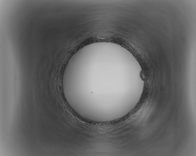 X0000112720817200908200944
