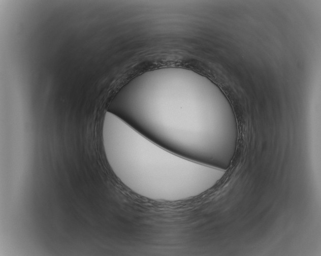 X0000112720818200908200945