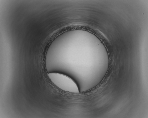 X0000112720821200908200945