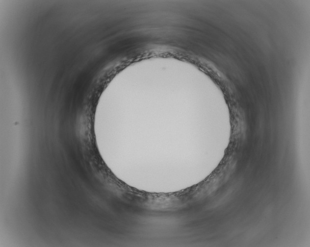 X0000112720824200908200945