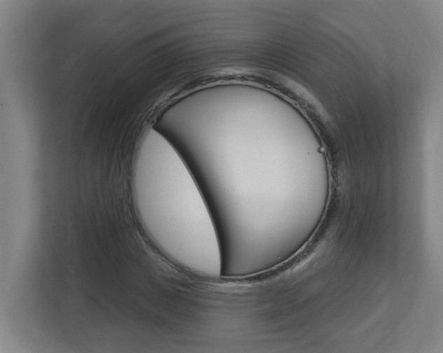 X0000112720825200908200945