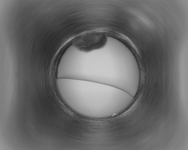 X0000112720827200908200945