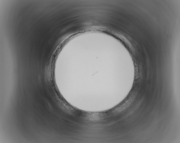 X0000112720828200908200945