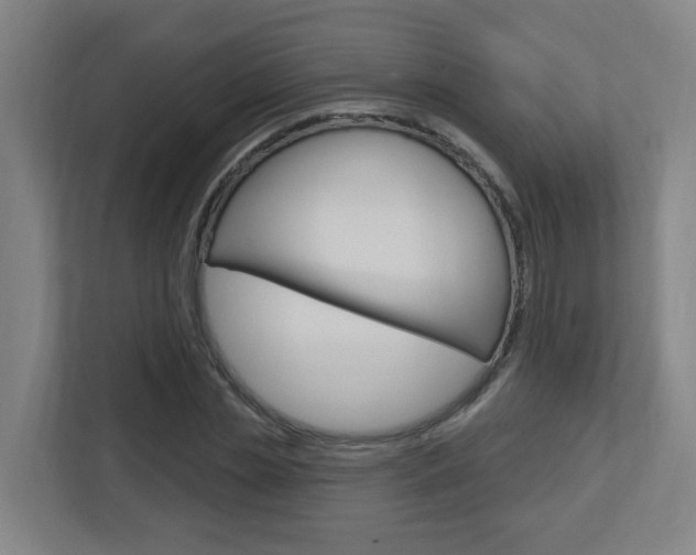 X0000112720829200908200945