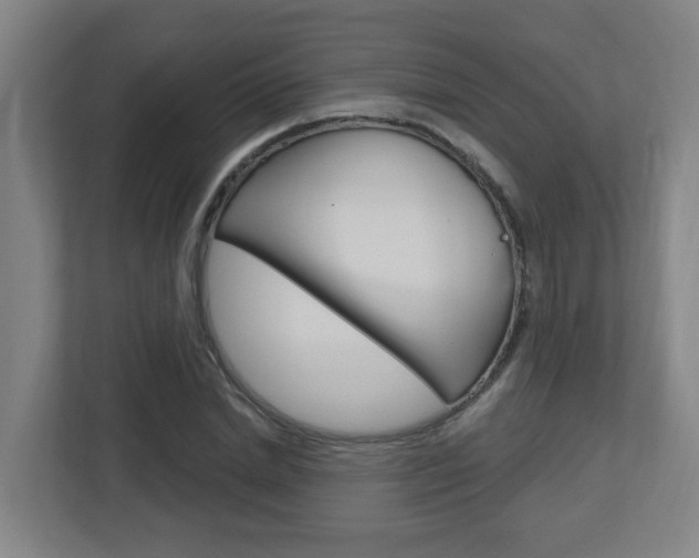 X0000112720830200908200945