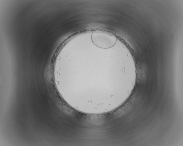 X0000112720832200908200945