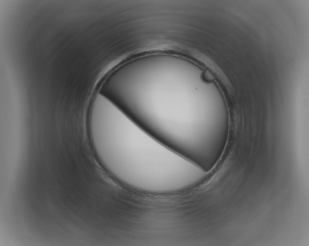 X0000112720834200908200945