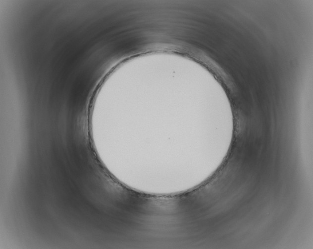 X0000112720836200908200945