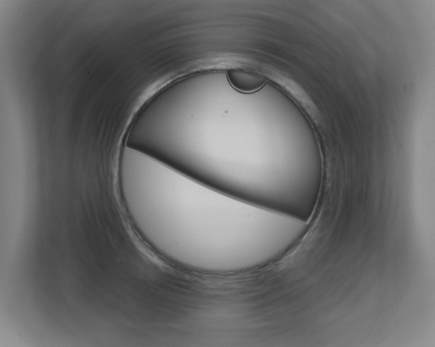 X0000112720850200908200945