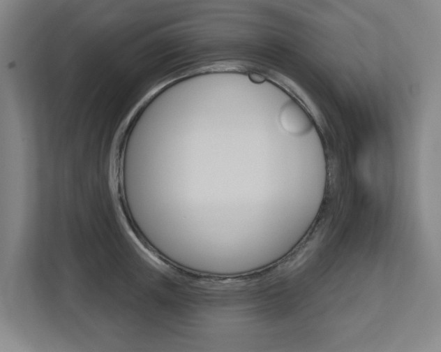 X0000112720851200908200945