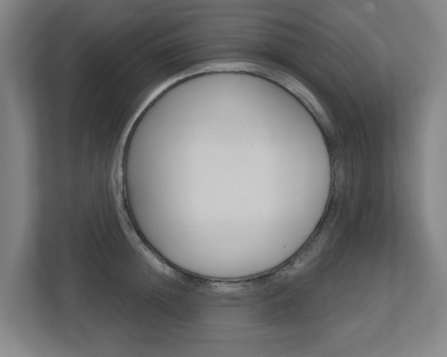 X0000112720852200908200945
