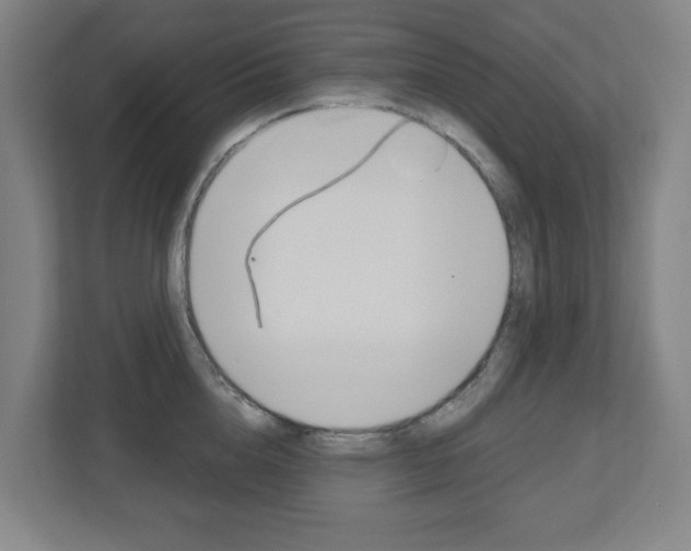 X0000112720856200908200945