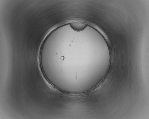 X0000112720861200908200945