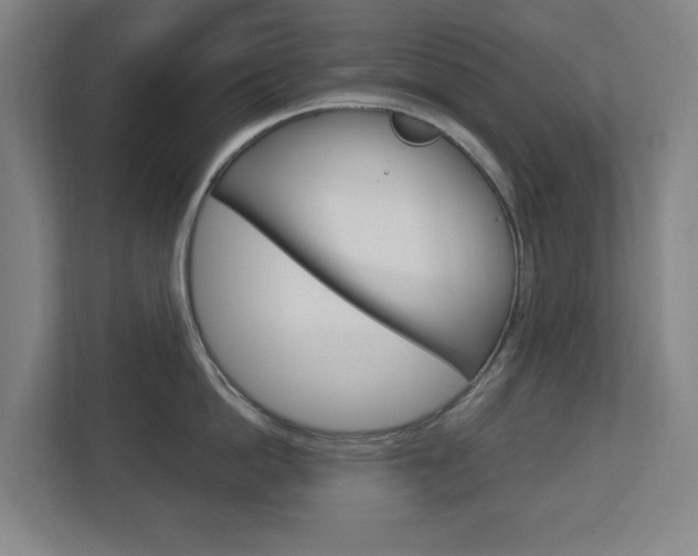 X0000112720862200908200945