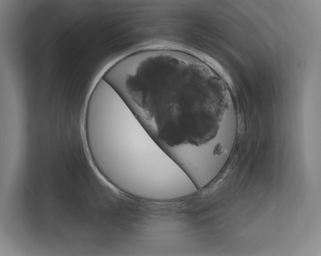 X0000112720863200908200945