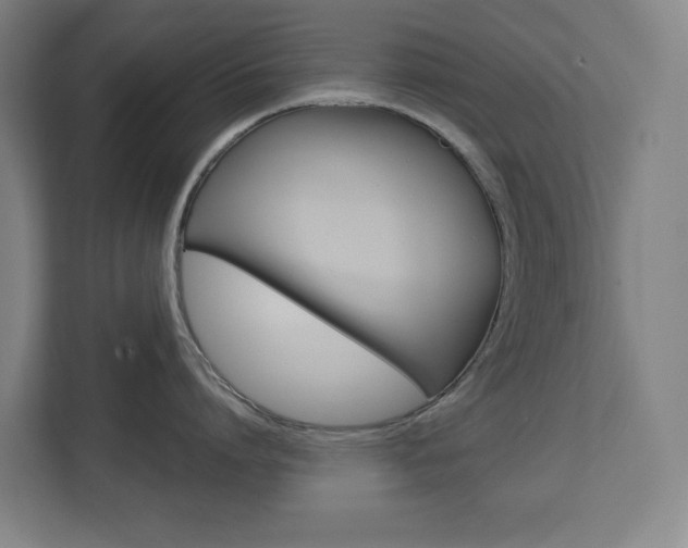 X0000112720864200908200945