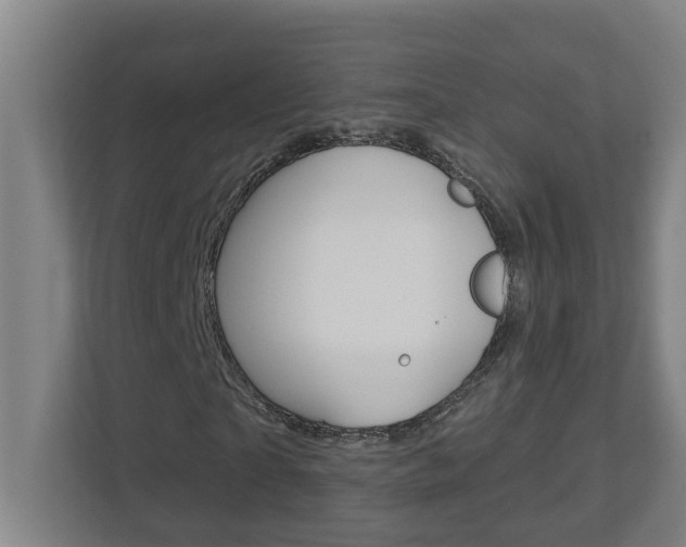 X0000112720865200908200944