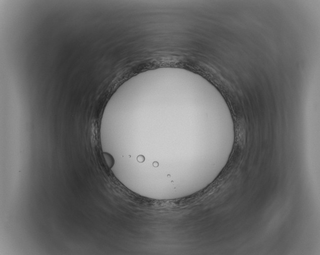 X0000112720866200908200944