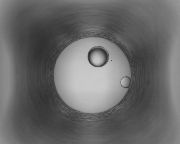 X0000112720868200908200944