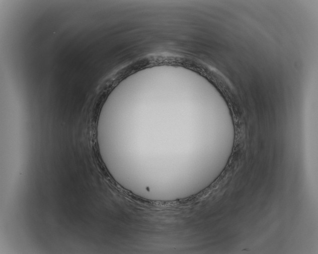X0000112720870200908200944