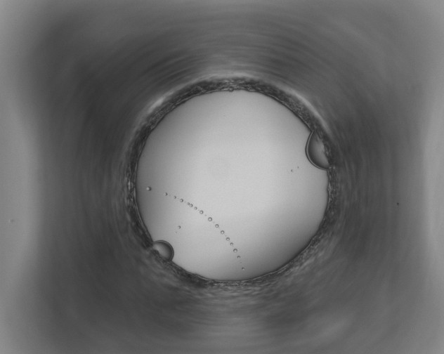 X0000112720871200908200944