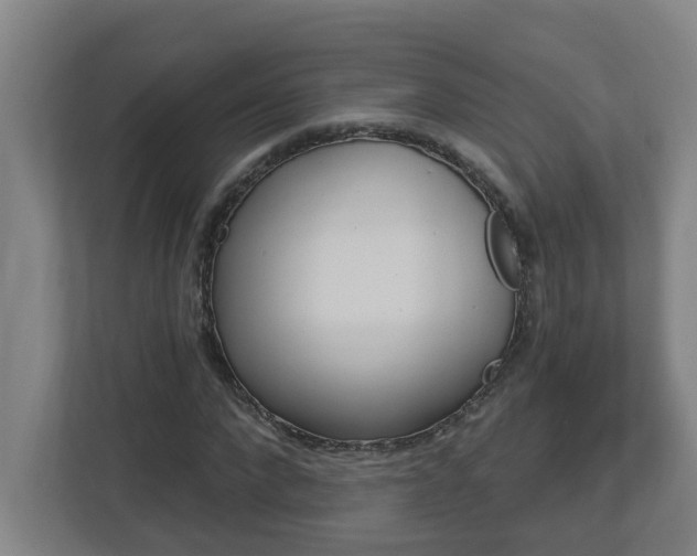 X0000112720872200908200944