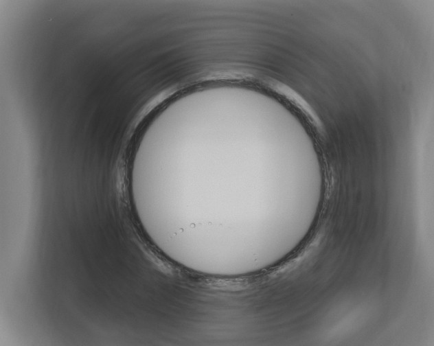 X0000112720874200908200944