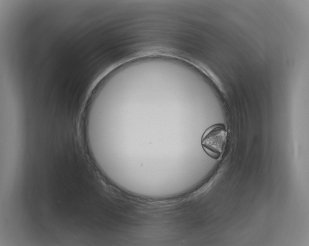X0000112720877200908200944