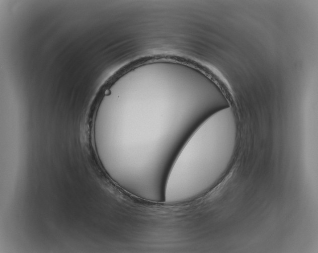 X0000112720879200908200944